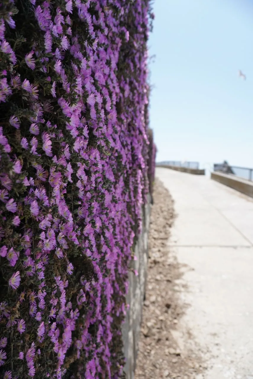 Photograph, 2019