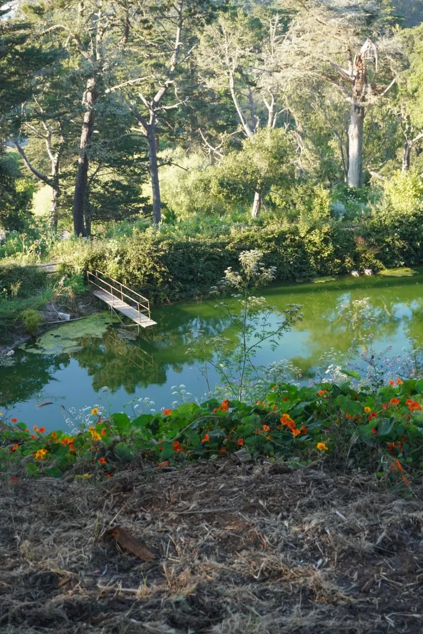Photograph, 2019