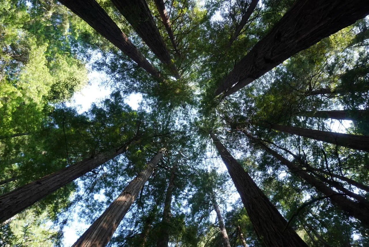 Photograph, 2019