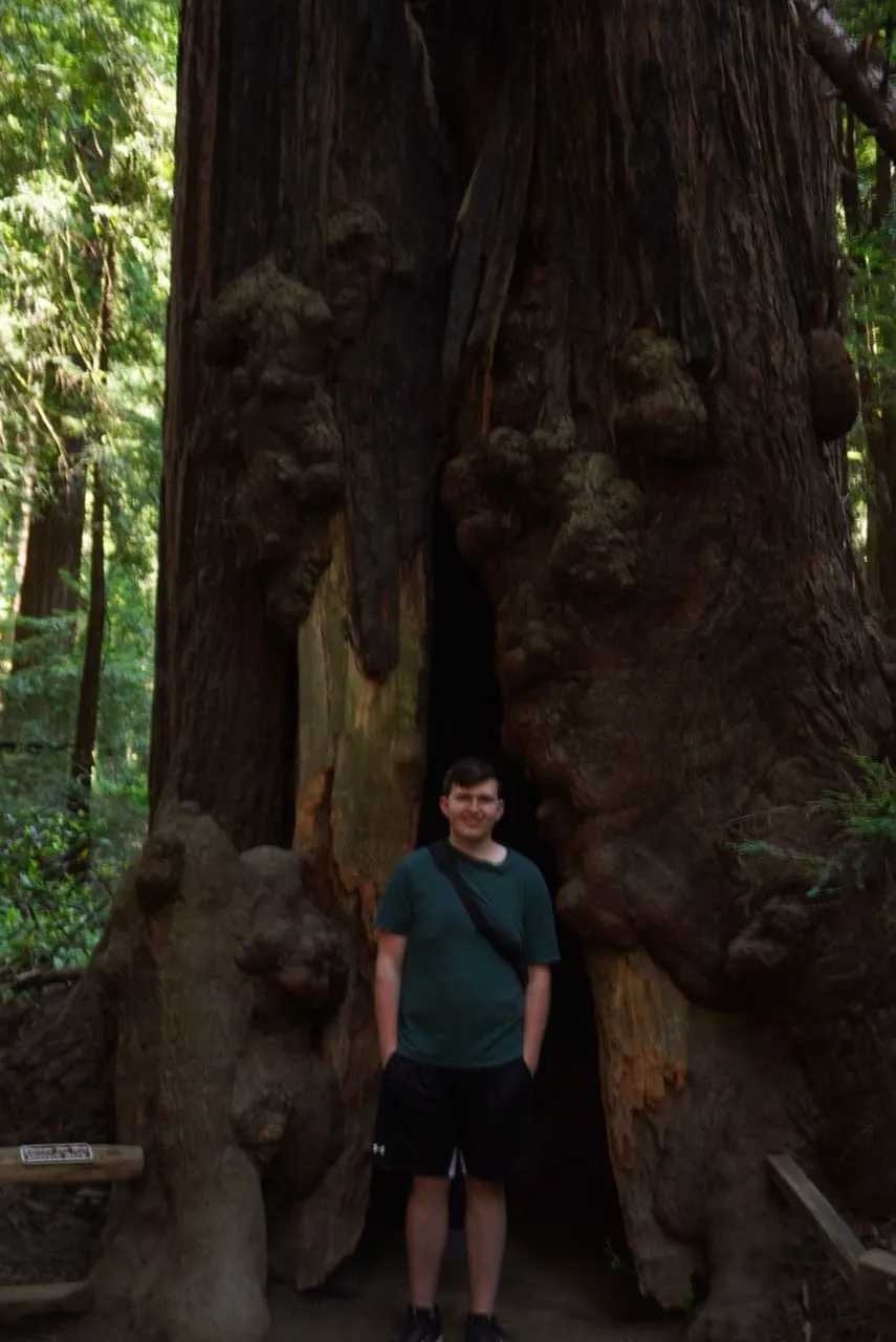 Photograph, 2019