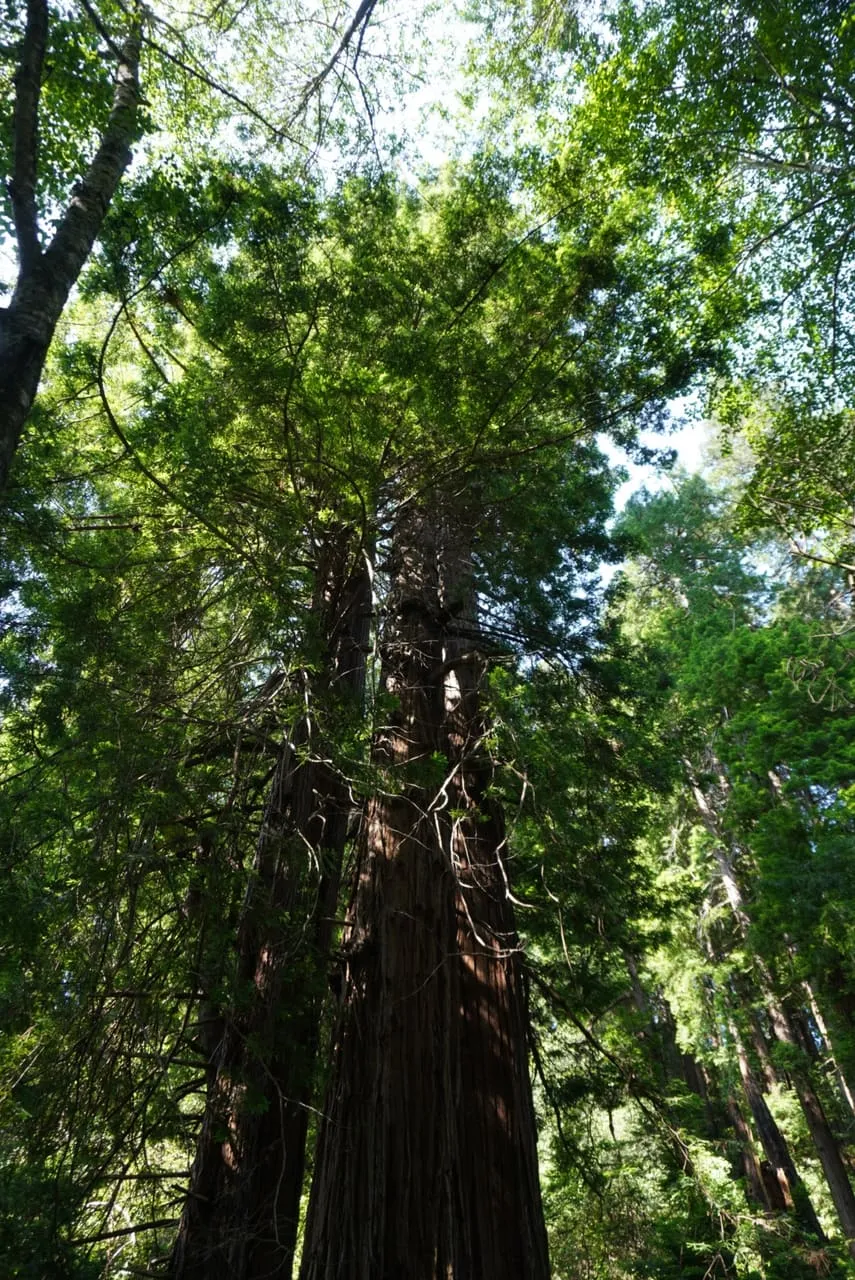 Photograph, 2019